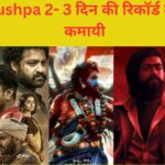 Pushpa -2 - DAY 3 BOX OFFICE COLLECTION