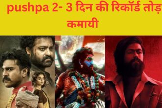 Pushpa -2 - DAY 3 BOX OFFICE COLLECTION